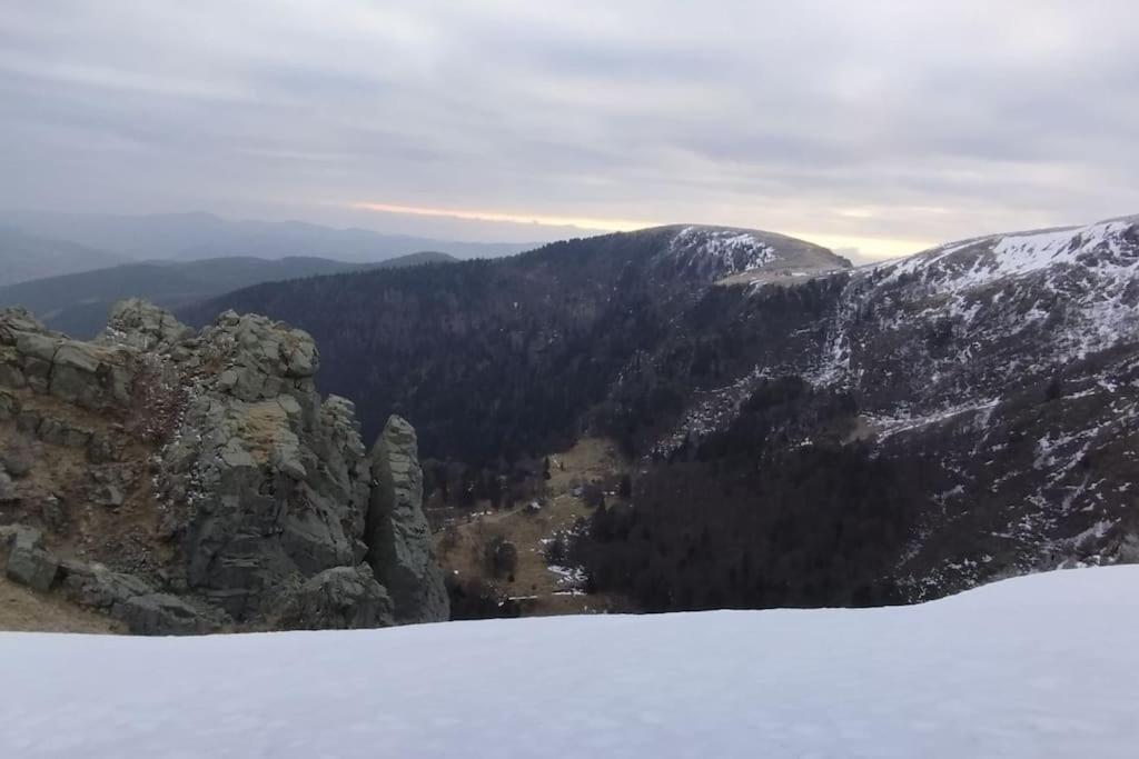Aux Balcons De La Vallee Soultzeren Экстерьер фото